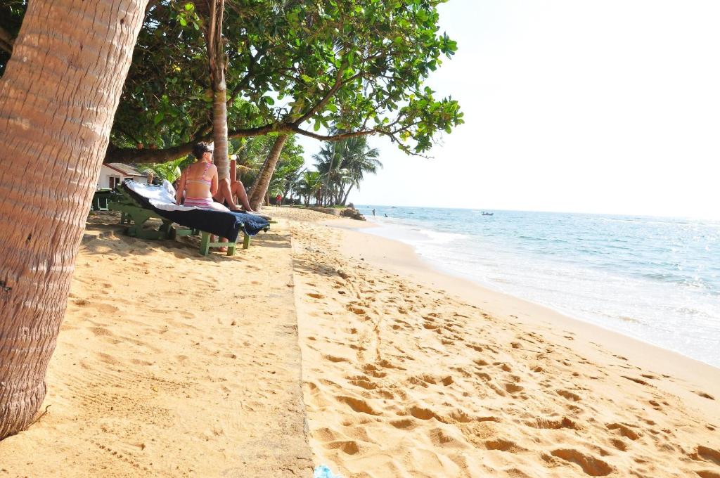 Ypsylon Tourist Resort photo