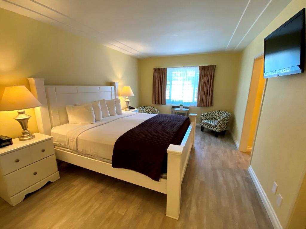 ハリウッド セレブリティ ホテル - Room image