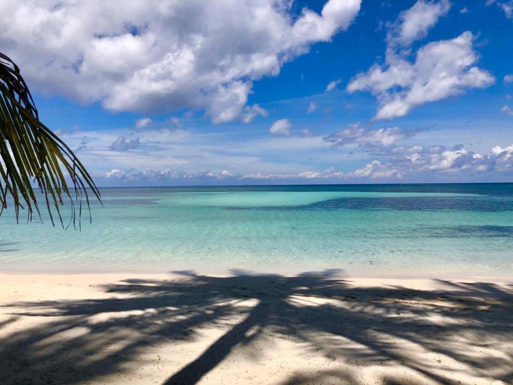 Surrounding environment