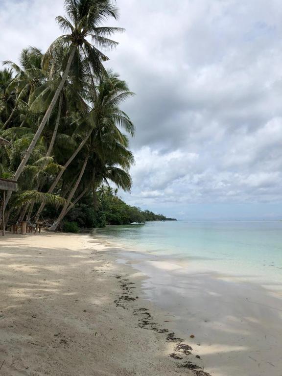 Surrounding environment