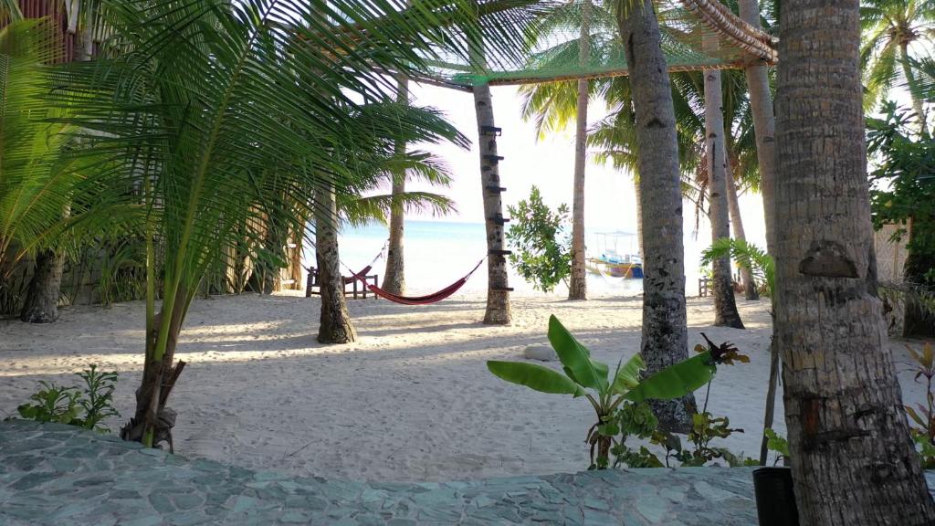 Surrounding environment