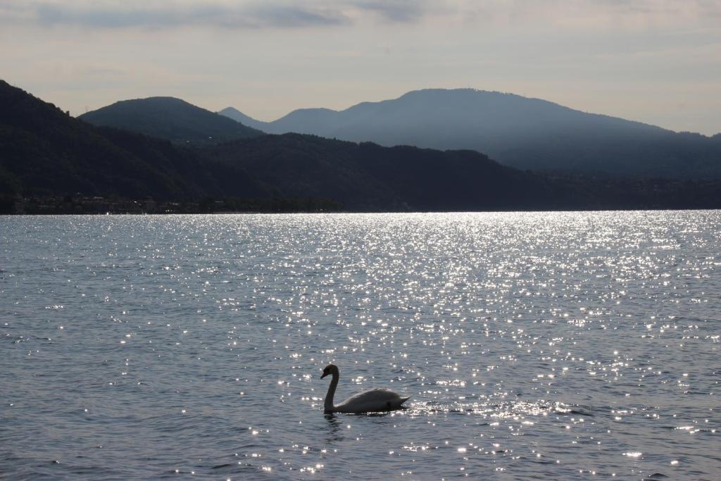 Surrounding environment