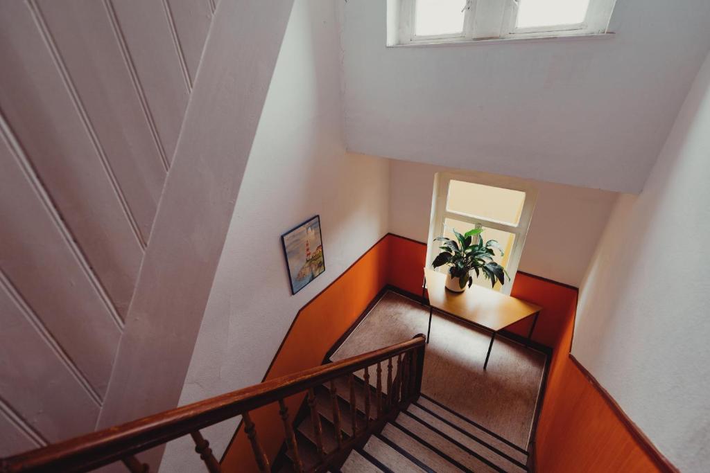 Hostel 37 photo