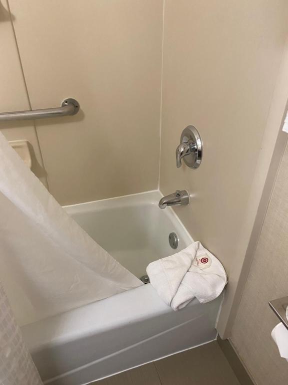Comfort Inn photo
