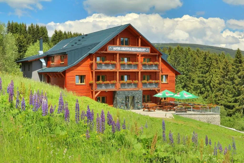 Hotel Obzor，位于派克波特斯耐兹库的酒店