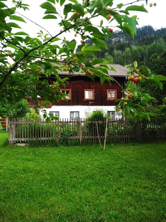 Blonbauer - 4