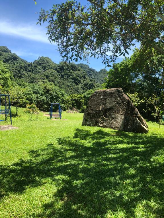 Surrounding environment