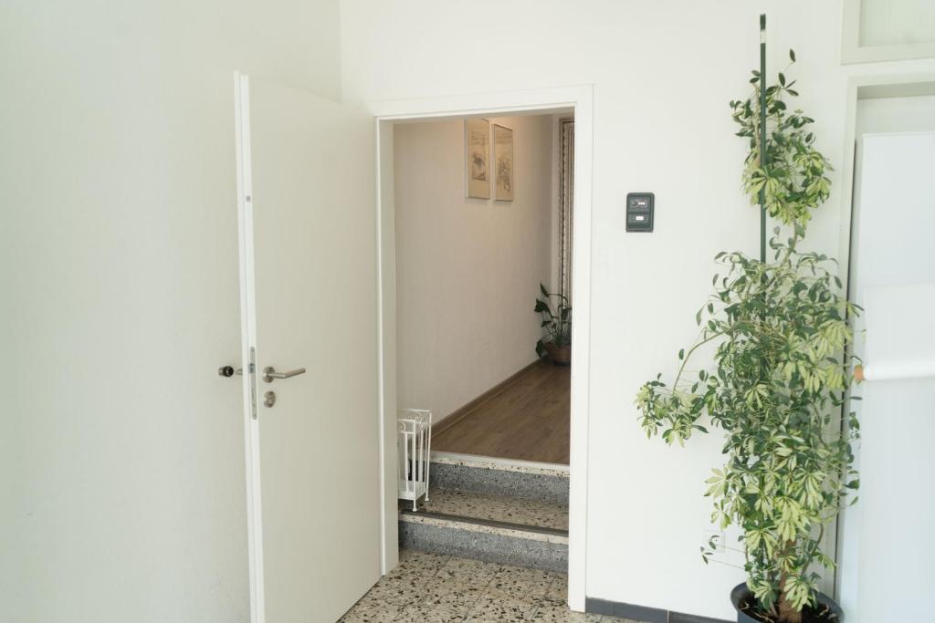 CityApartements FN2-FN4 KLIMATISIERT photo