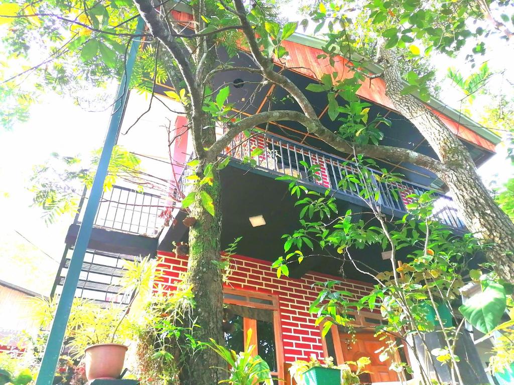 Summer Villa Ella — Hotel in Ella