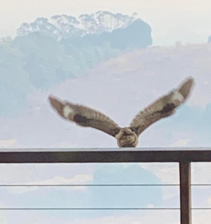 Surrounding environment