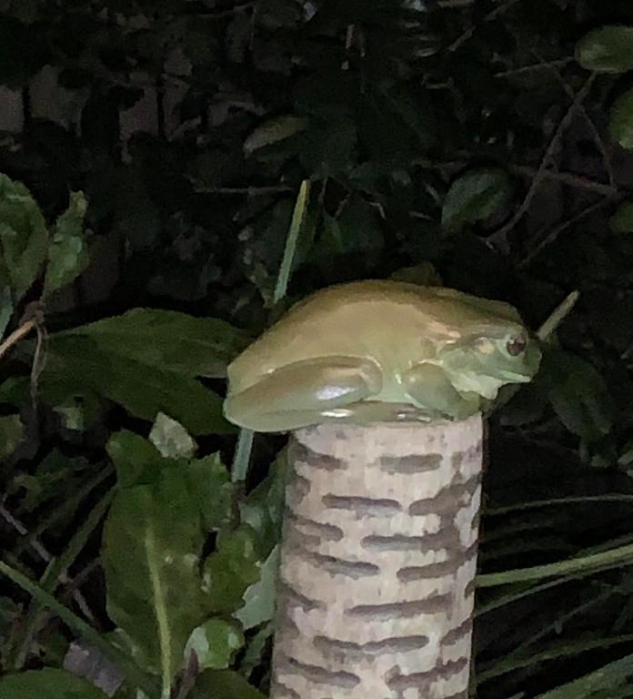 Surrounding environment