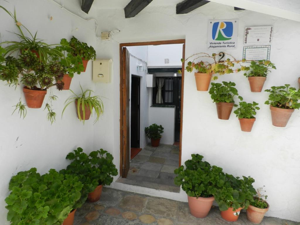 Casa Lola, La Plazoleta - 1