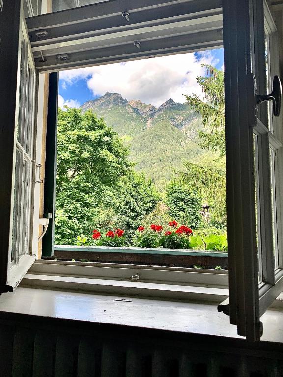 Gastehaus Hohe Tannen photo