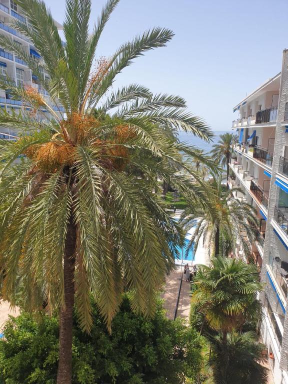 Skol 837B by Completely Marbella — Hotel in Marbella