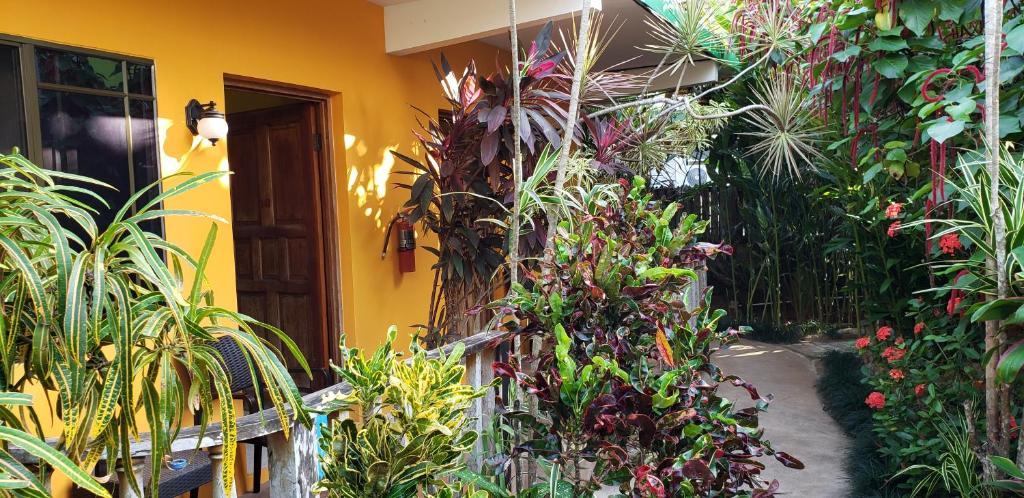 Sunrise Club Hotel — Hotel building in Negril