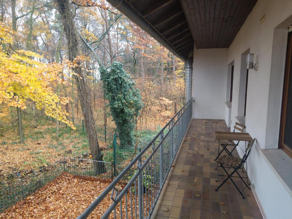 Hotel Hopener Wald ,Self Check In photo