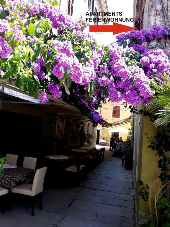 Apartment Ferienwohnung — Hotel in Pula