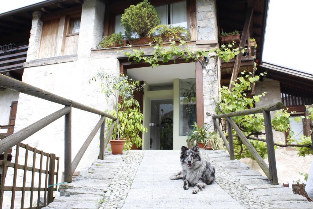 B&B Casa Gori photo