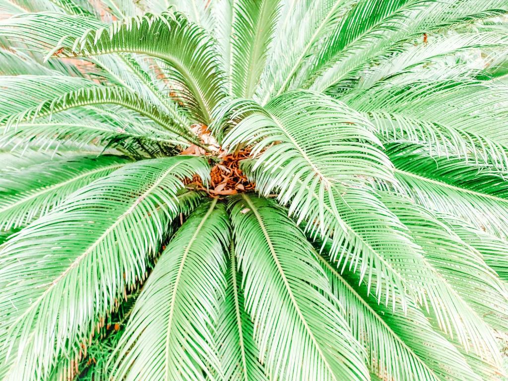 Surrounding environment