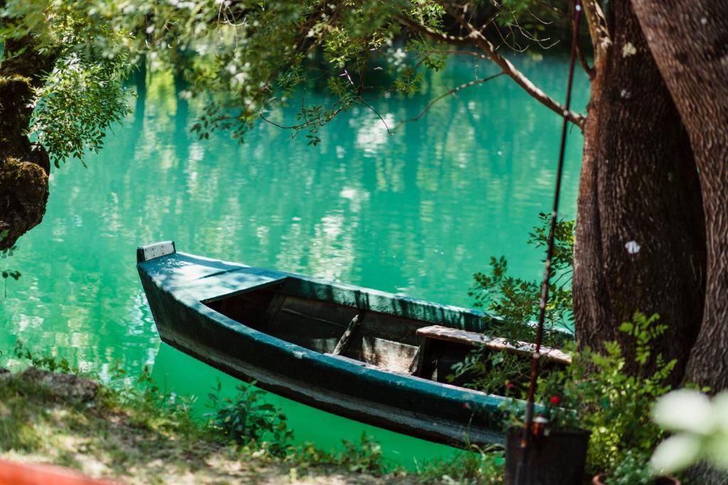 Vacation Home Hercegovka photo