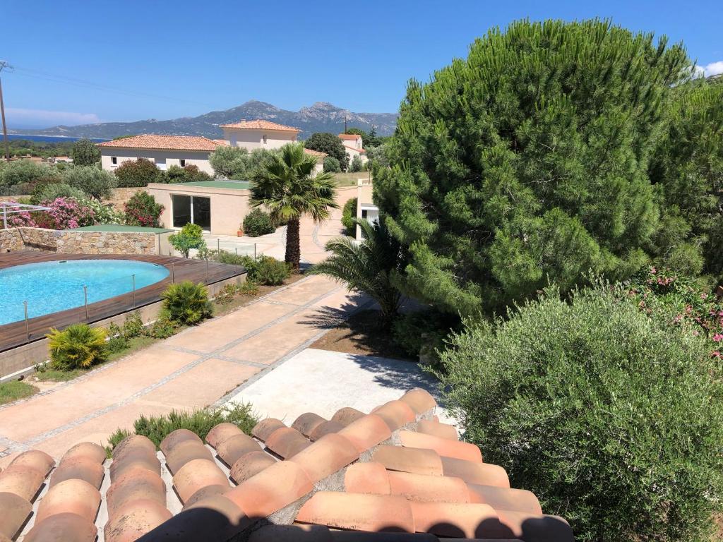Manureva Calvi - 5