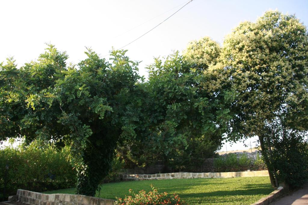 Casa La Pennica photo