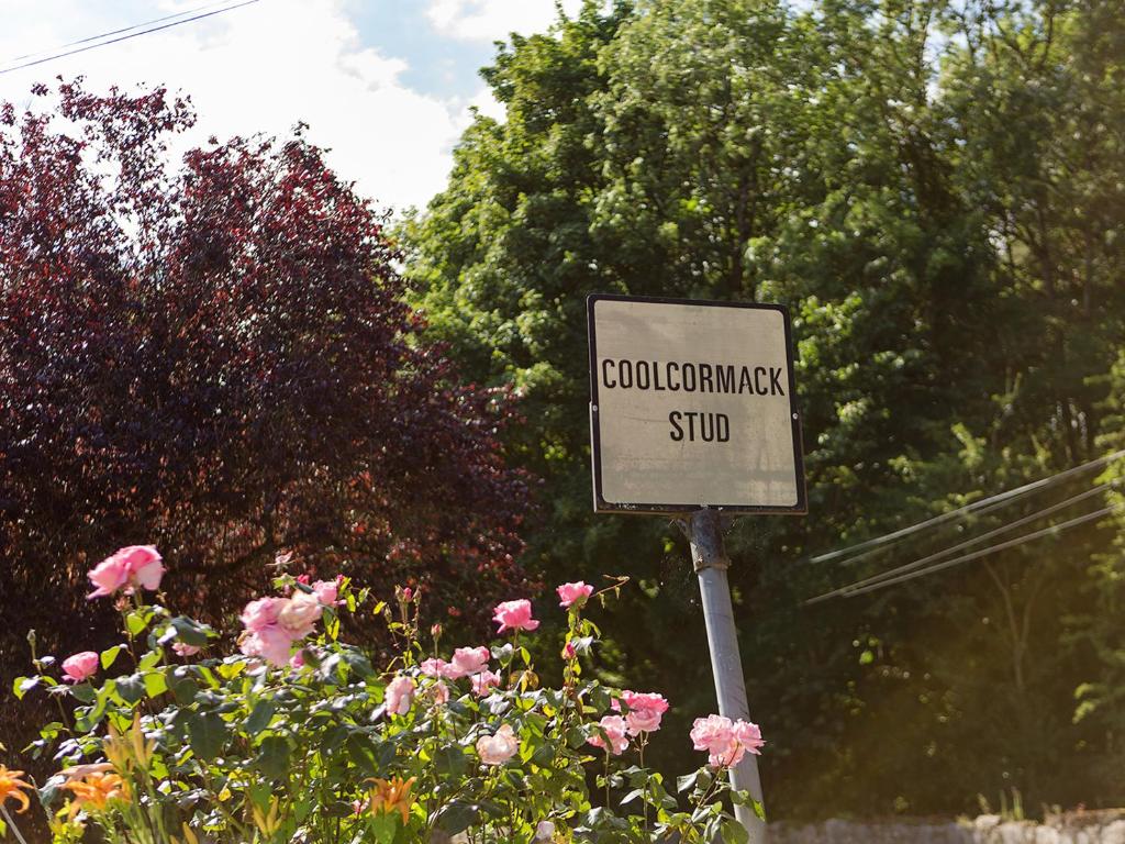 Coolcormack Stud B&B, Waterford