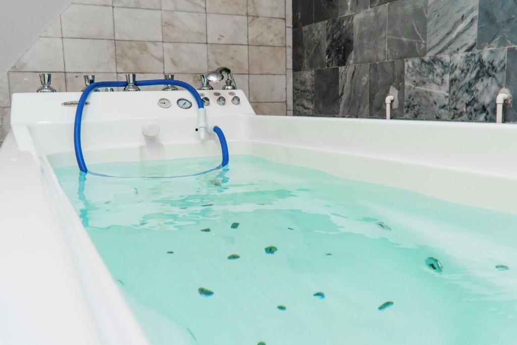 Sofia Spa Resort photo