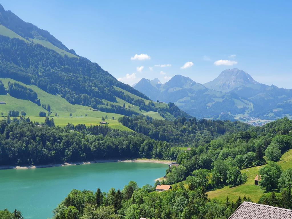 Le Vieux Chalet photo