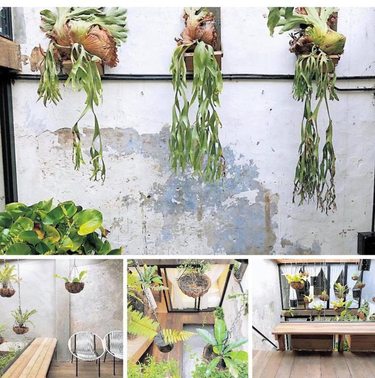 Rimba Jonker With Private Pool -10 Pax 2B/R, Melaka