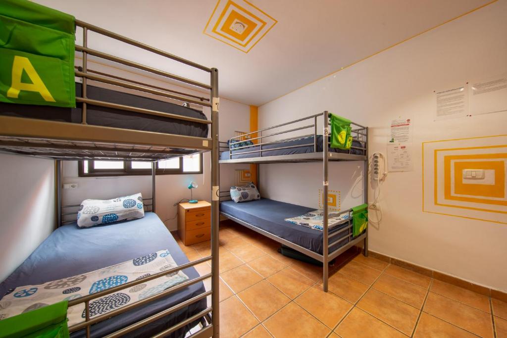 La Tortuga Hostel photo