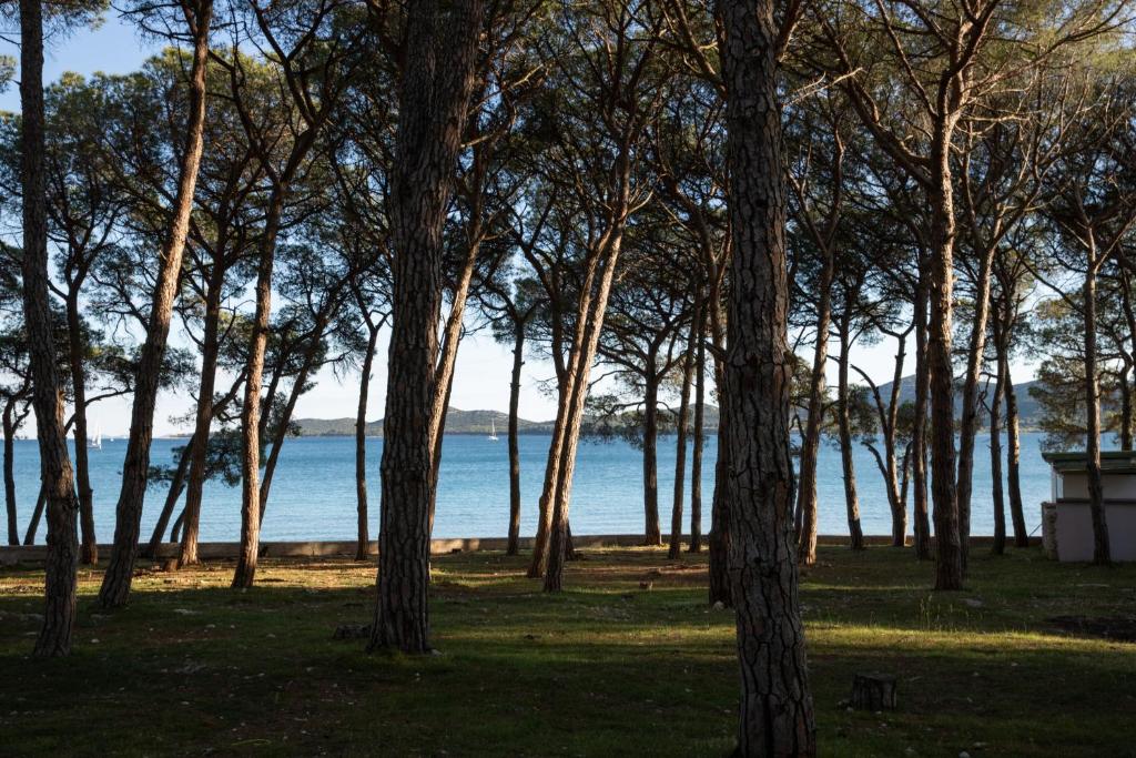 Apartmani Dina photo