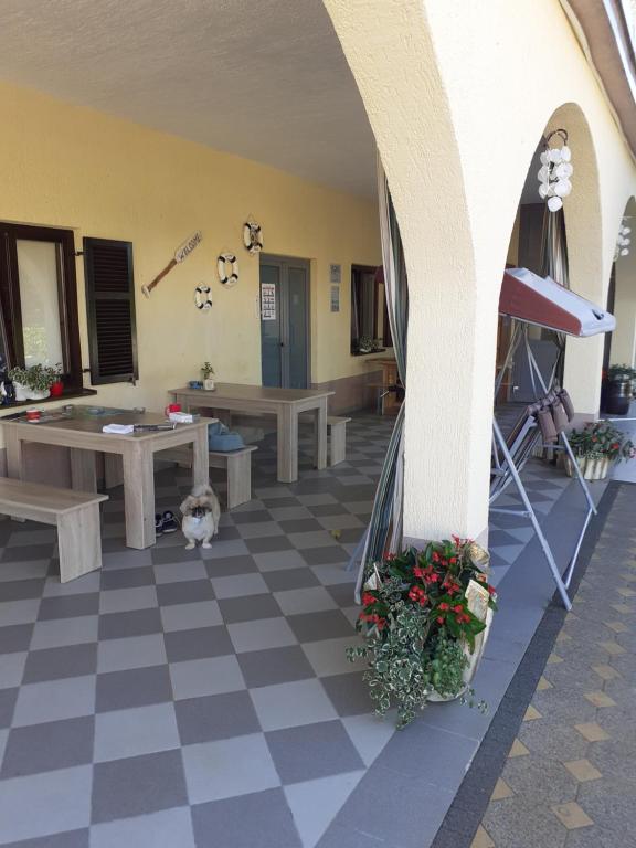 Hostel Marinus photo