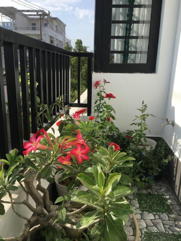 Ken King 2 - homestay gan bien gia re photo