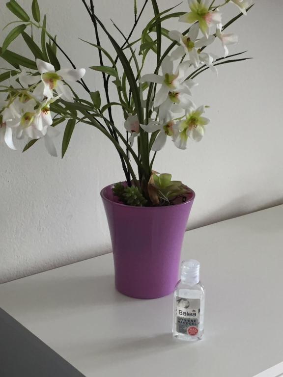 Ferienappartement GROCKE - 2