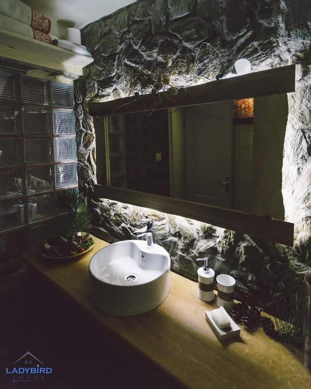Ladybird Lodge photo