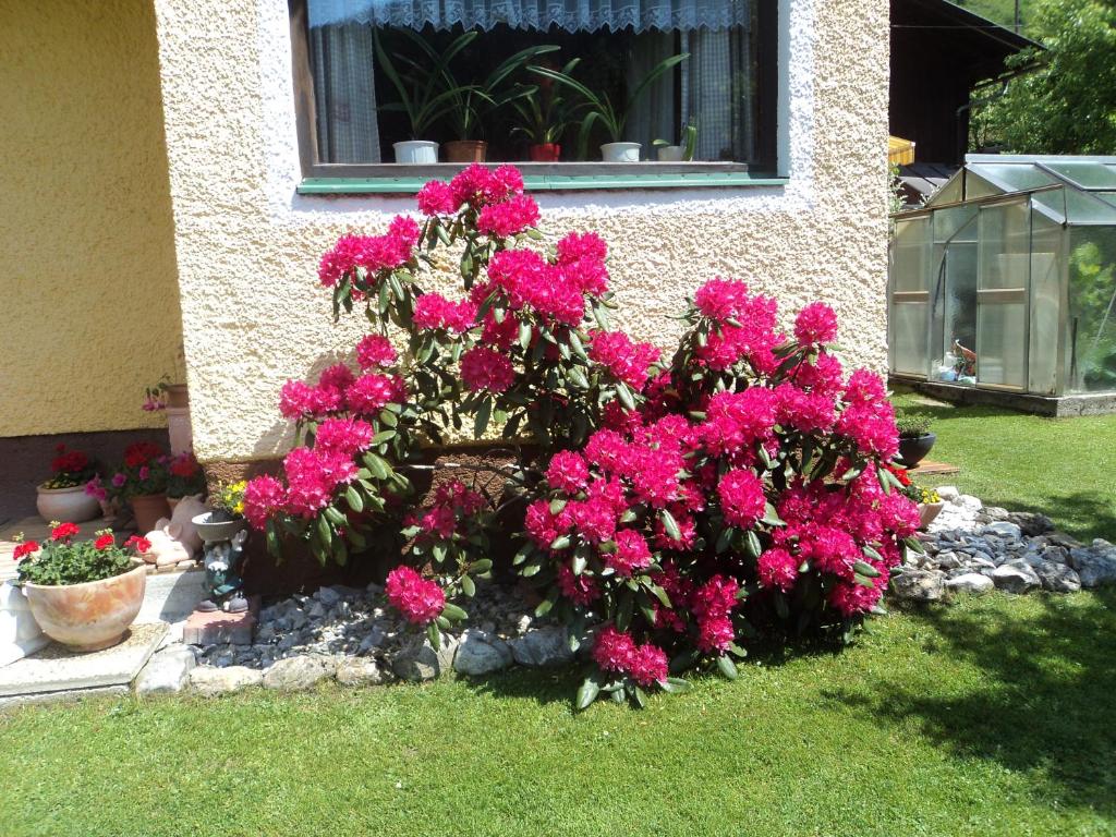Gondelblick - 4