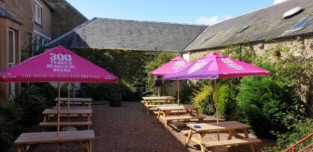 George and Abbotsford, Melrose