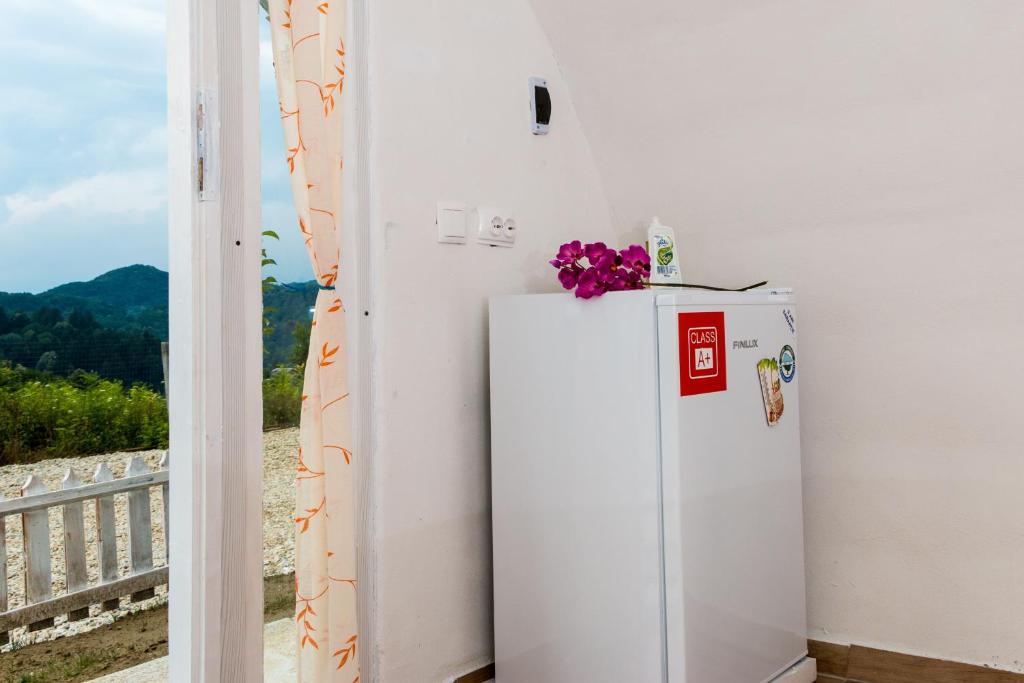 Casutele verzi din Ocnele Mari photo