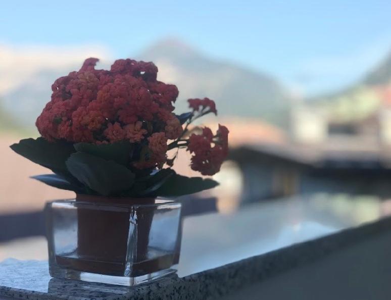 Albergo Centrale - 3