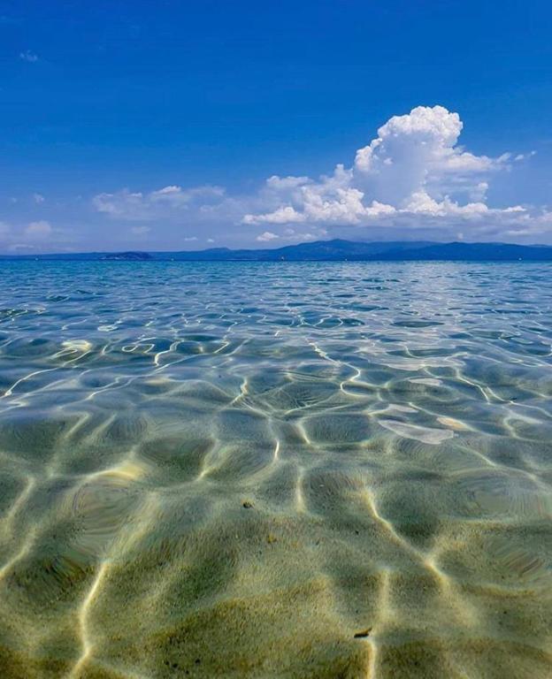 SimOtel Ermis photo