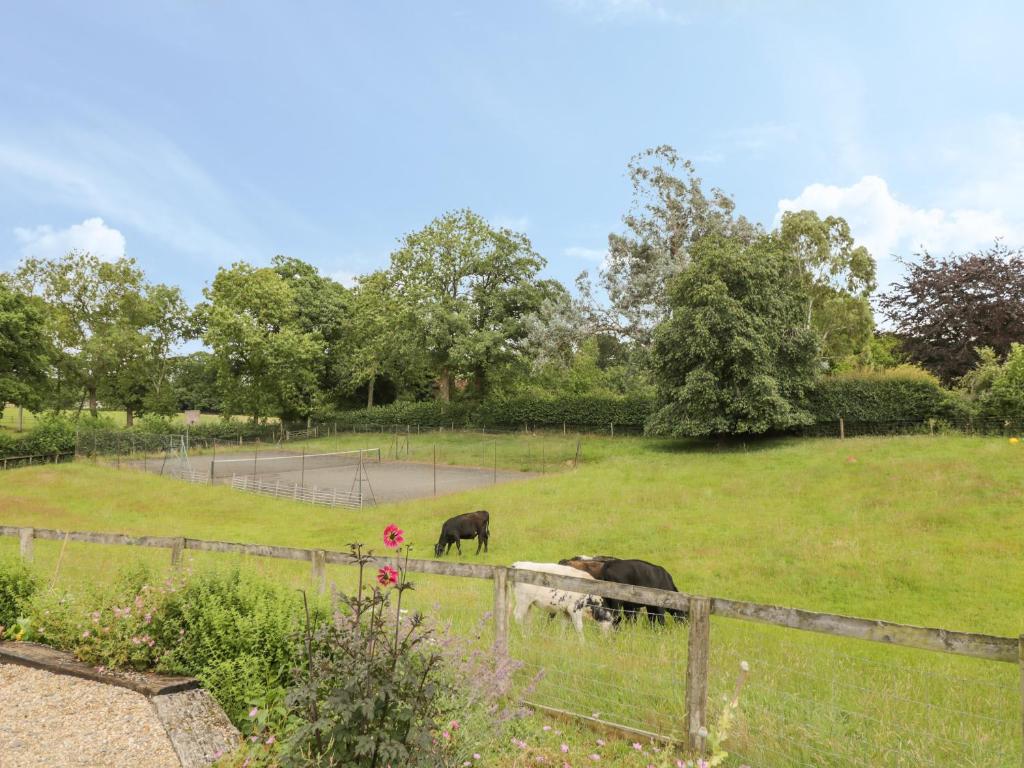 Pond View, Fordingbridge photo 6