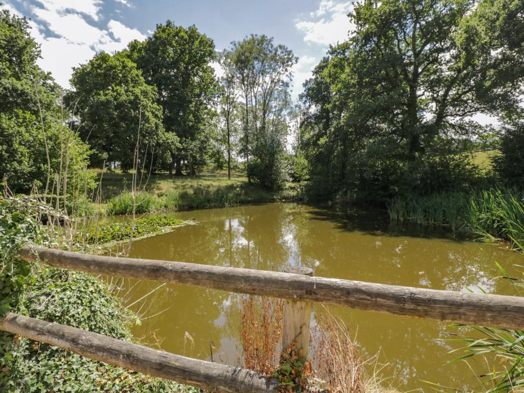 Pond View, Fordingbridge photo 5