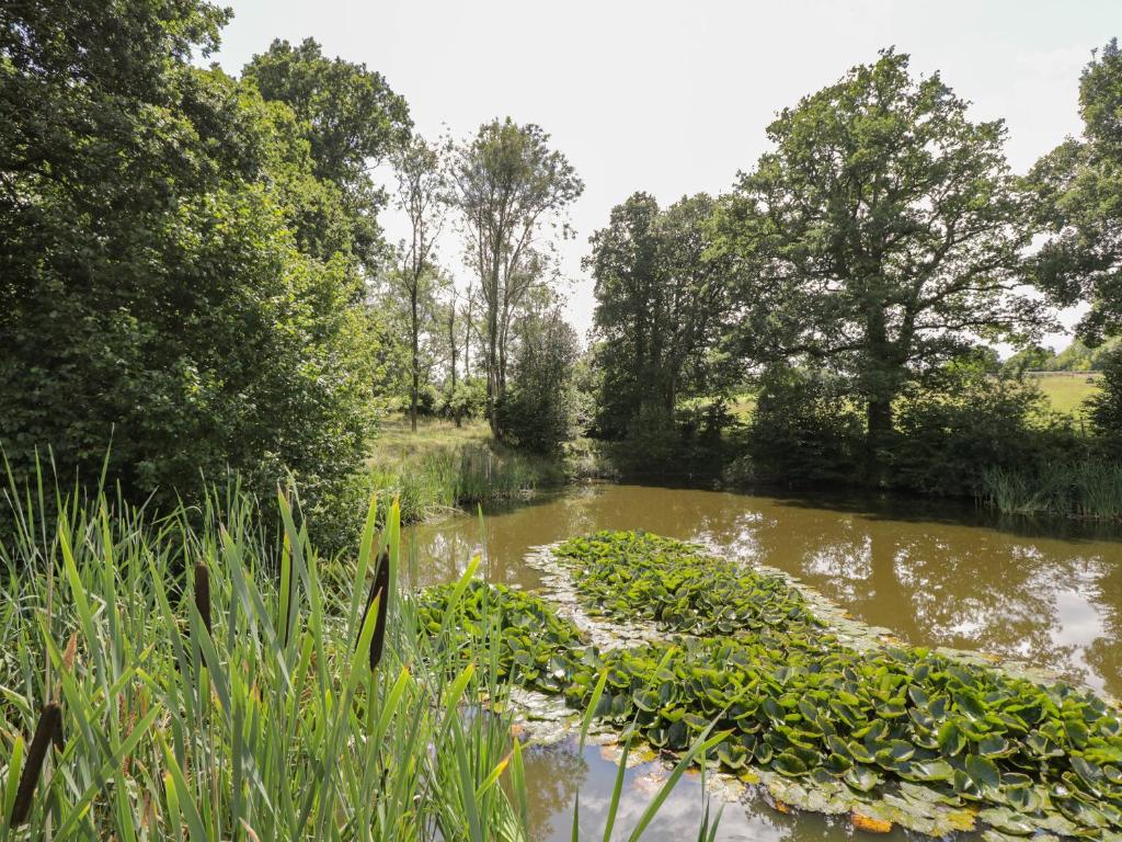 Pond View, Fordingbridge photo 4