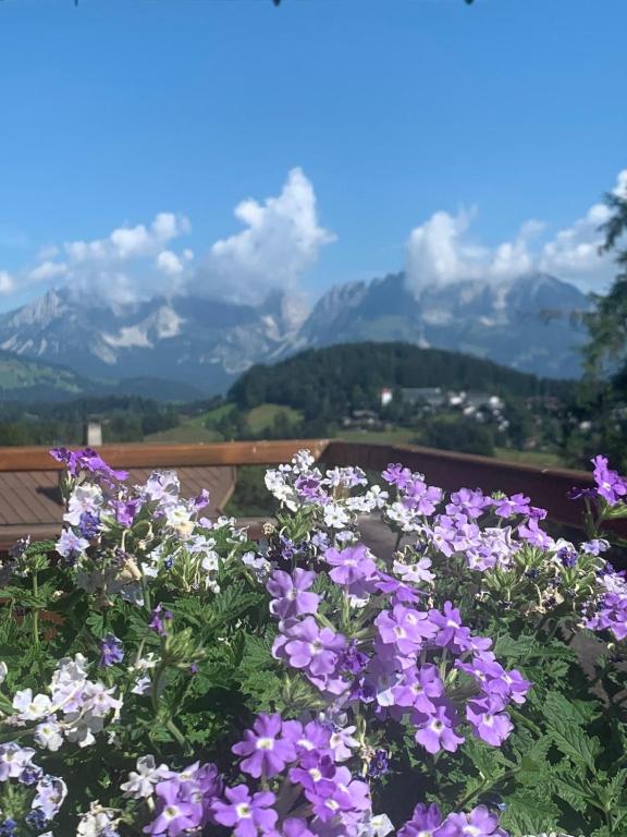 Pension Hinterseer photo