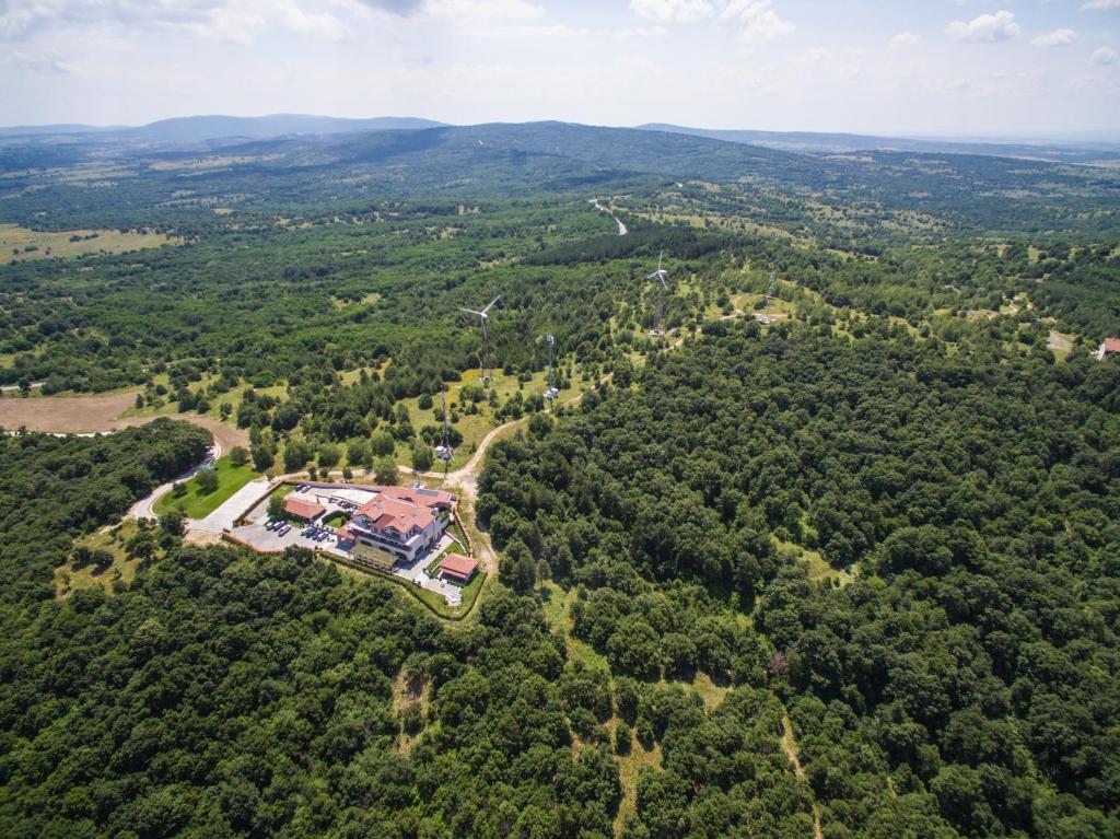 Zaara Estate photo