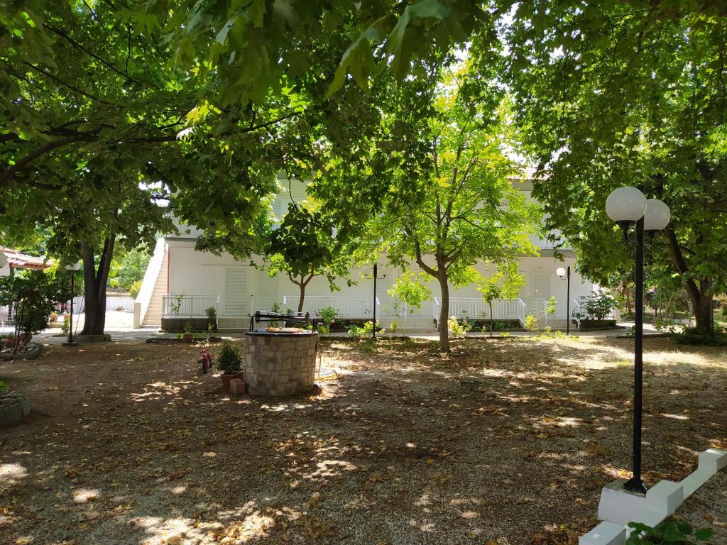 Avli Studios