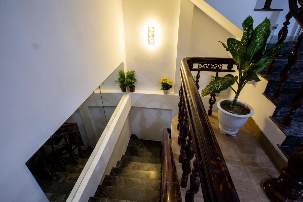 5.T Hostel