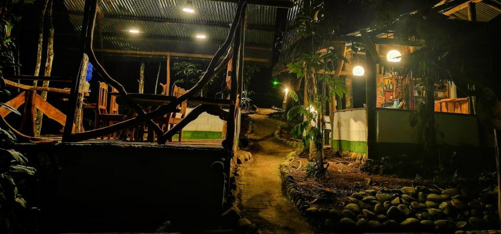 Jungle Roots photo