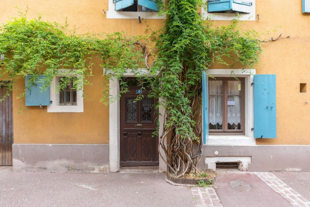 Travel Homes -The Cigogne, quiet & heart of Colmar - 1